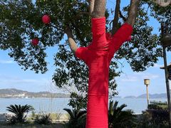 -东钱湖旅游度假区