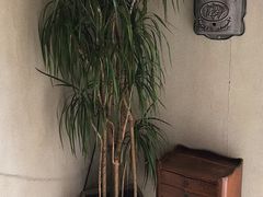 用餐区-中国油画院咖啡馆