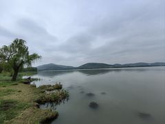 -长广溪湿地公园