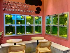 -芸山季·云南野生菌火锅(宝能环球汇店)