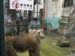 -无锡动物园·太湖欢乐园