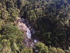 -海南热带雨林国家公园吊罗山景区