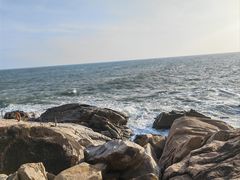 -广东惠东海龟国家级自然保护区