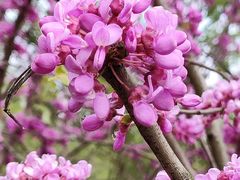 -外高桥保税区南(地铁站)