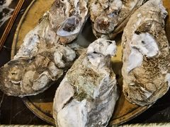 -蠔爺王志德生蚝馆(金沙湾店)