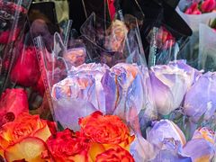 -循礼门鲜花花市(武汉循礼门店)