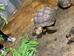 -石家庄市动物园