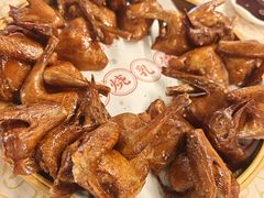 -百利鸽王(紫薇路店)