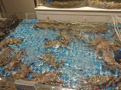 -喜来酌海鲜·饺子(和平一店)