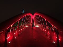 -金鸡山公园