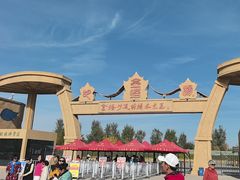 -金塔沙漠胡杨林景区