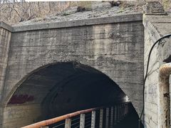 -白水寺森林公园