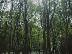 -将府公园