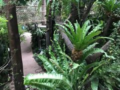 -正佳雨林生态植物园