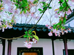 -太平天国历史博物馆(瞻园)