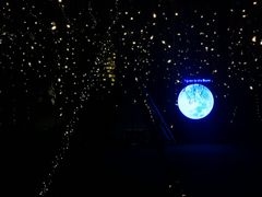 -天台月光帐篷火锅(合能锦城店)