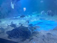 -常州海昌海洋探索馆