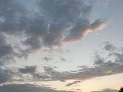 -深圳湾公园(南山区)