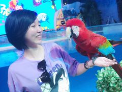 -三亚海昌梦幻海洋不夜城