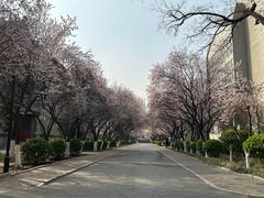 -山东师范大学(千佛山校区)