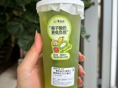 -吴山山·椰子酸奶(天河南店)