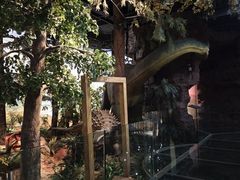 -浙江自然博物院(杭州馆)