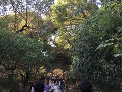 -灵岩山风景区