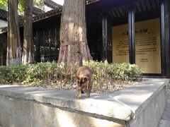 -75幢私房菜馆