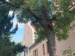 -青岛市江苏路基督教堂
