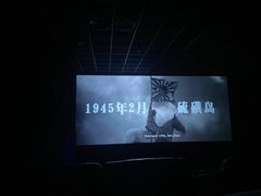-保定金棕榈先天下国际影城(LUXE)