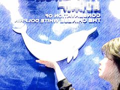 -港珠澳大桥码头