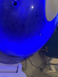 -碧莲盛·不剃发植发