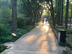 -上海醉白池公园