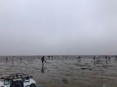 -刘家湾赶海园