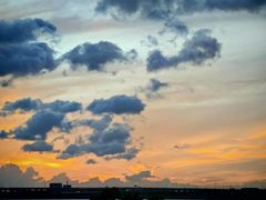 -宝安西湾红树林湿地公园