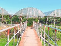 -马陆小张葡萄园农家乐