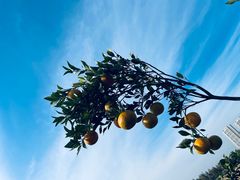 -红莲湖旅游度假区