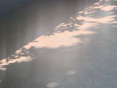 -瀛洲公园