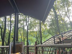 -巴倒烫陆派火锅山庄(南山总店)