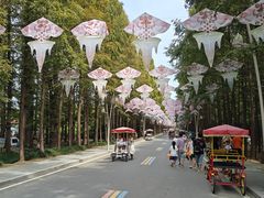 -日照海滨国家森林公园