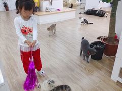 -李小姐の猫咖啡馆(五角场店)