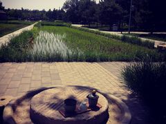 -北坞公园