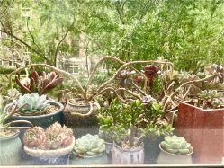 -睿明真达专业皮肤护理中心