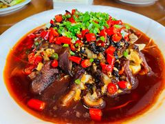 -古蔺郑胖娃(泸州总店)