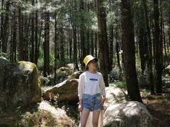-天龙八部武侠城