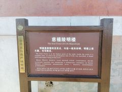 -清东陵
