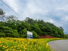 -青龙山国家森林公园