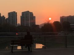 -深圳大学城（南区）体育中心-游泳馆