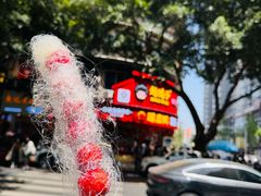 -小豆海棠(嘉兴路店)