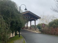 -东湖落雁景区